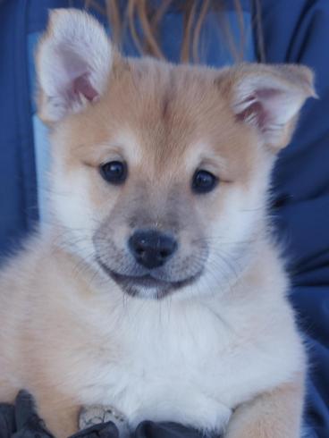 7 weeks
