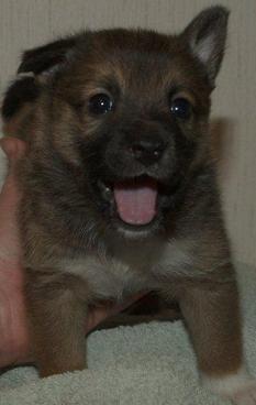 4 weeks