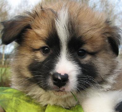 7 weeks