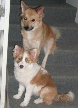2/2010