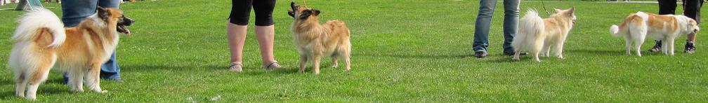 Hugsi, Hattifatti, skubuska, Kata