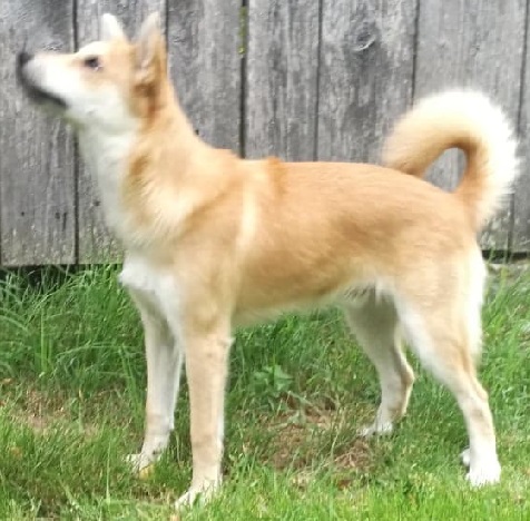 8/2019