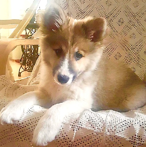 3 months
