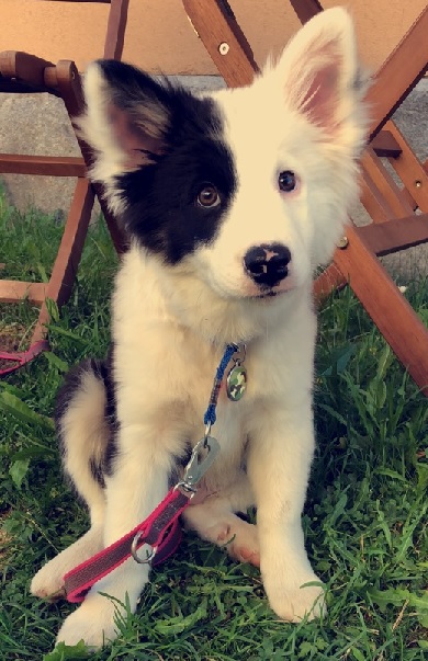 7/2018
