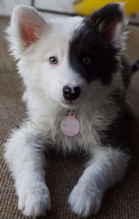 3 months