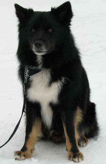 3/2010