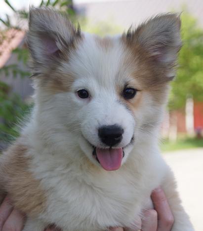 3 months
