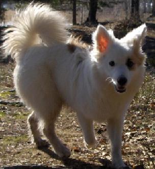 6 months old