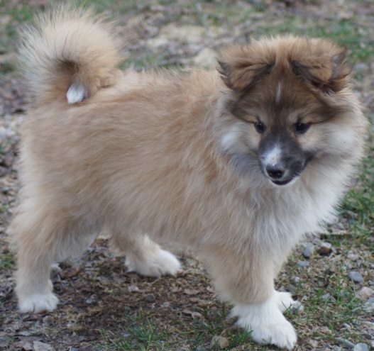 10 weeks
