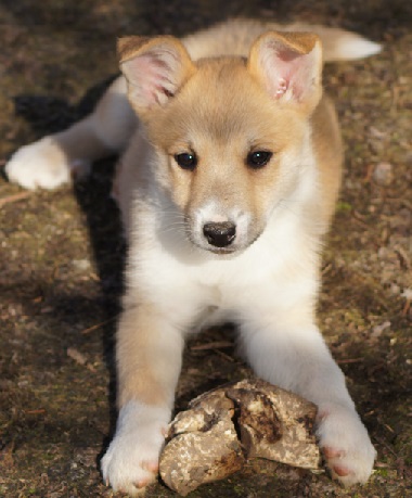 10 weeks