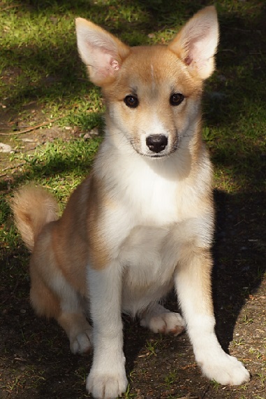 4 months