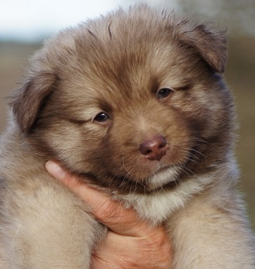6 weeks