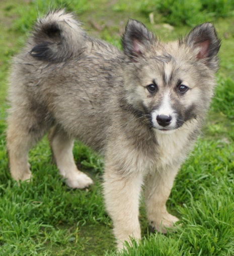 12 weeks