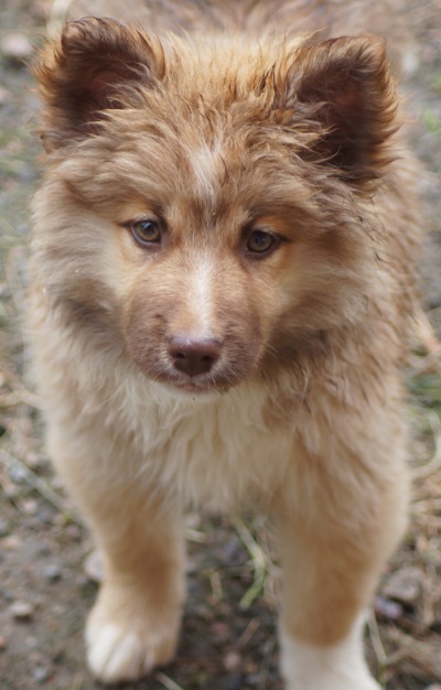 12 weeks