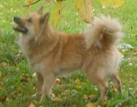 autumn 2006