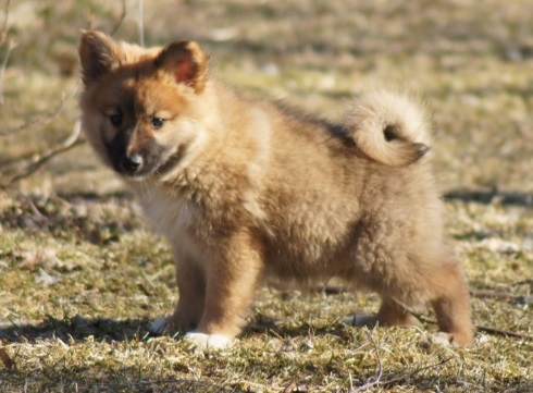 10 weeks