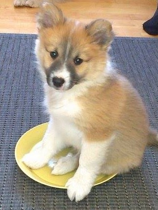 10 weeks
