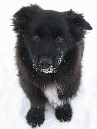 1/2011