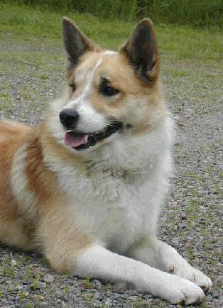 pontus 18.7.2004